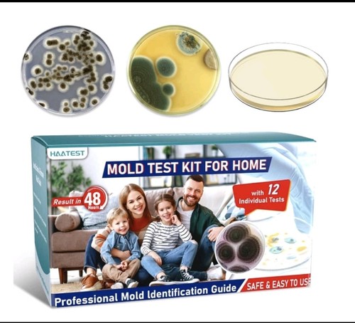 Home mold test kit detector - mold,