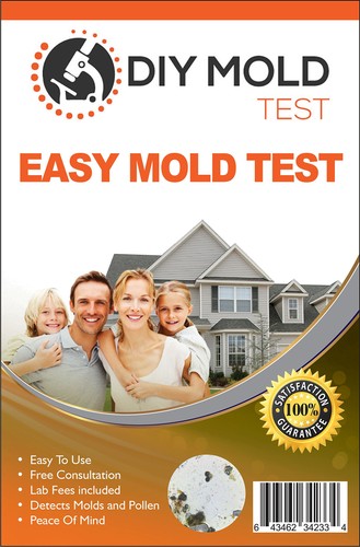 Mold test kit for home - kit,