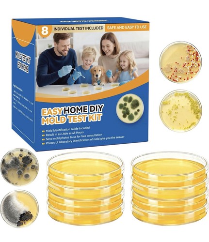 Diy mold test kit - test,