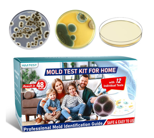 Home mold test kit - home,