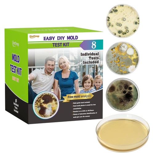 Mold test kit for home - mold,