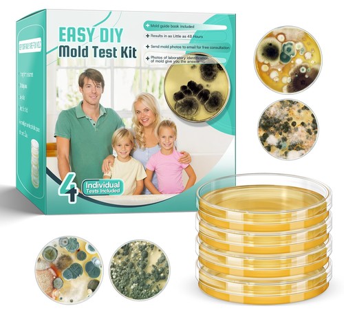 Mold test kit for home - for,